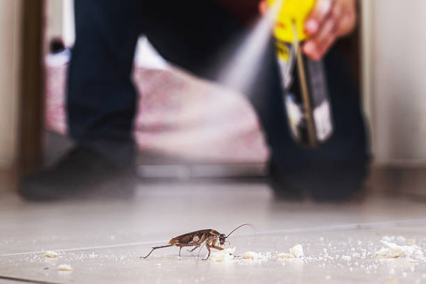 Professional Pest Control in Monterey Park, CA