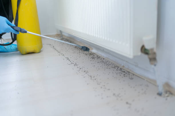 Best Wildlife Control Services  in Monterey Park, CA
