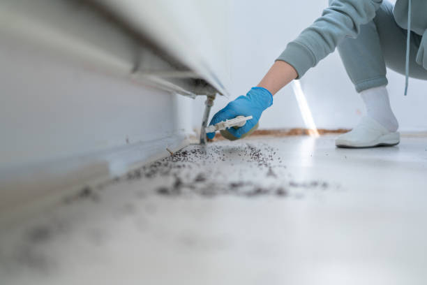 Best Affordable Pest Control Services  in Monterey Park, CA